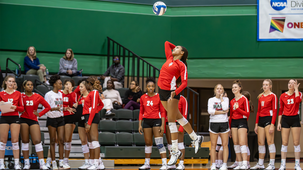 WashU Sweeps WebsterU, Walby Picks Up 400th Career Win